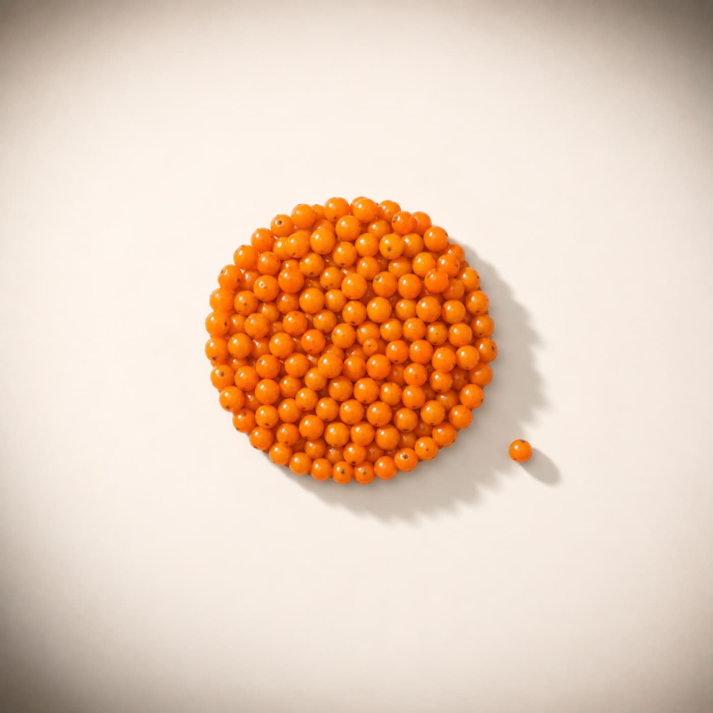 Seabuckthorn Berries — Orange berries packed into a disc